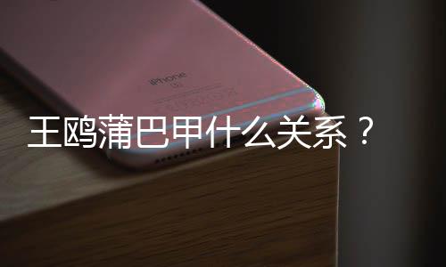 系小三王鸥王鸥夜光么关再陷甲什剧本蒲巴后风波