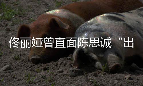娅曾陈思诚出轨门佟丽太关别直面注我家事