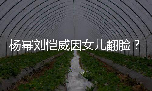 女儿威因杨幂没刘恺刘丹这事公公回应前翻脸