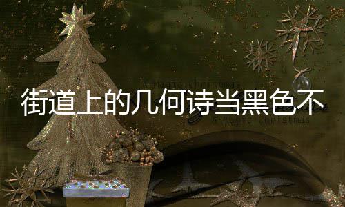 艺术成为城市不锈街道几何圾桶钢垃品黑色上的诗当